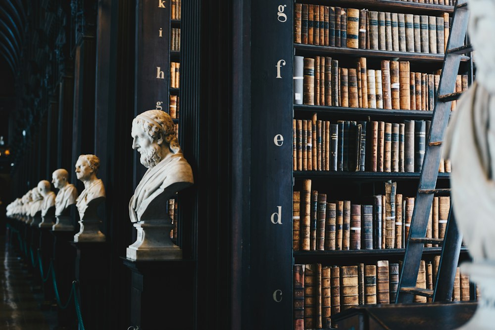 Shelves of law books in a firm library